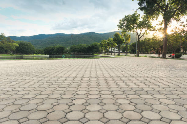 Best Decorative Driveway Pavers  in Charlotte Harbor, FL